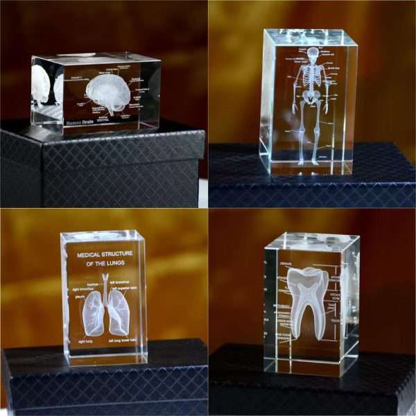 Medical crystal inner carving ornaments 3D